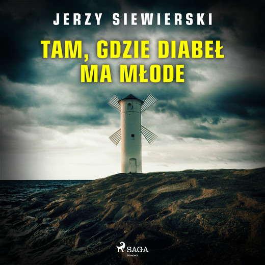 okładka Tam, gdzie diabeł ma młode audiobook | MP3 | Jerzy Siewierski
