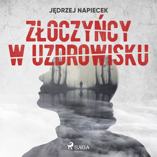 okładka Złoczyńcy w uzdrowisku audiobook | MP3 | Napiecek Jędrzej
