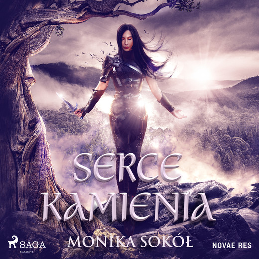 okładka Serce kamienia audiobook | MP3 | Monika Sokół