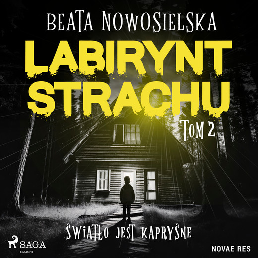 okładka Labirynt strachu. Tom 2. Światło jest kapryśne audiobook | MP3 | Beata Nowosielska