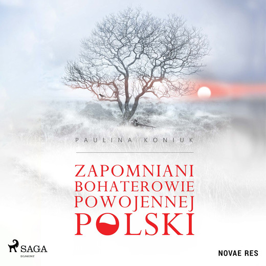 okładka Zapomniani bohaterowie powojennej Polski audiobook | MP3 | Paulina Koniuk