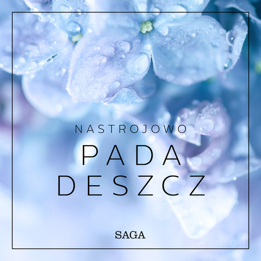 okładka Nastrojowo - Pada deszcz audiobook | MP3 | Broe Rasmus