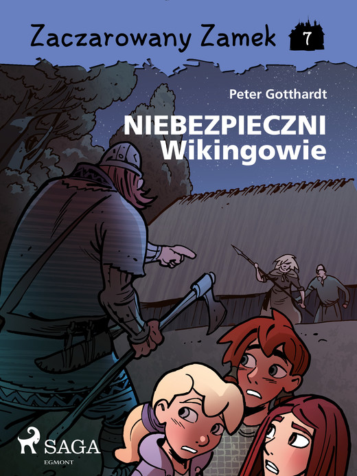 okładka Zaczarowany Zamek 7 - Niebezpieczni Wikingowie ebook | epub, mobi | Gotthardt Peter