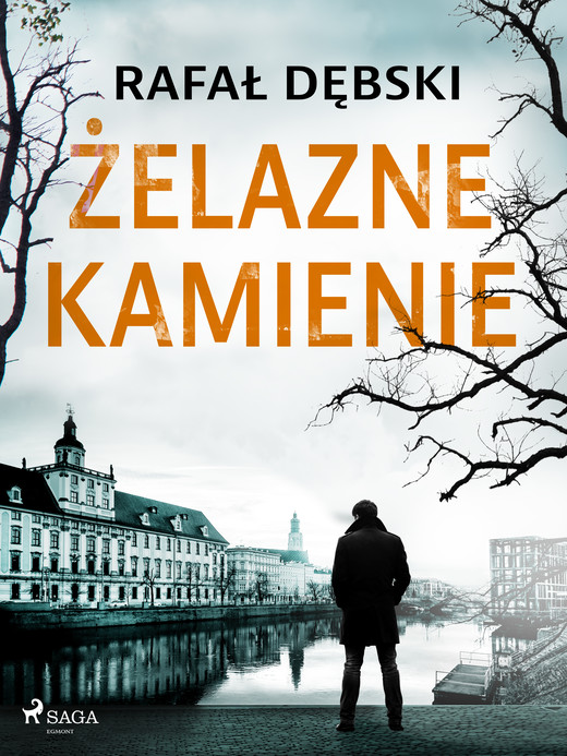 okładka Żelazne kamienie ebook | epub, mobi | Rafał Dębski