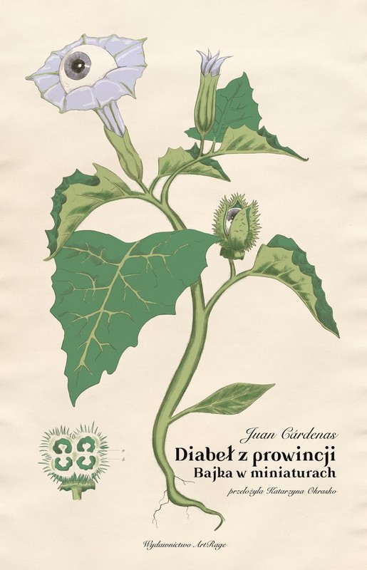 okładka Diabeł z prowincji książka