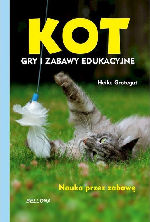 okładka Kot. Gry i zabawy edukacyjne książka | Grotegut Heike