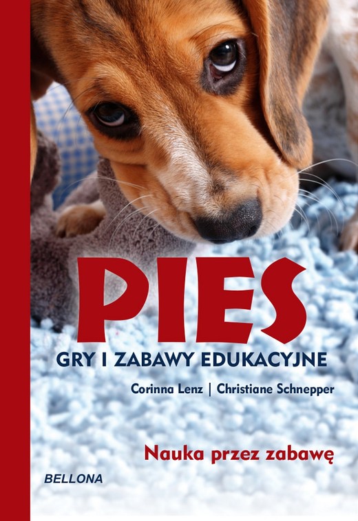 okładka Pies. Gry i zabawy edukacyjne książka