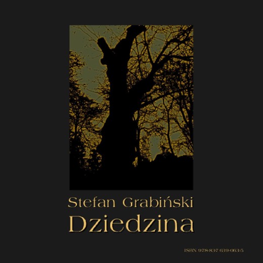 okładka Dziedzina audiobook | MP3 | Stefan Grabiński