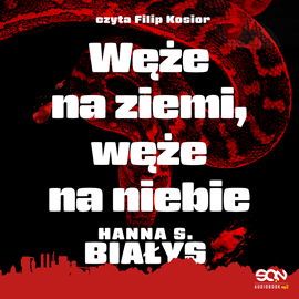 okładka Węże na ziemi, węże na niebie audiobook | MP3 | S. Białys Hanna