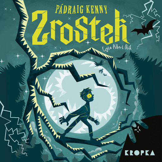okładka Zrostek audiobook | MP3 | Kenny Pádraig