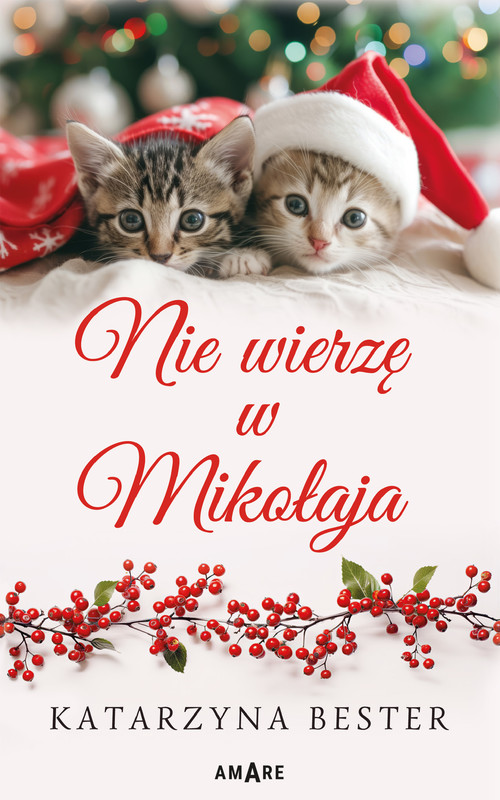 okładka Nie wierzę w Mikołaja ebook | epub, mobi | Katarzyna Bester