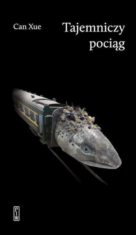 okładka Tajemniczy pociąg książka