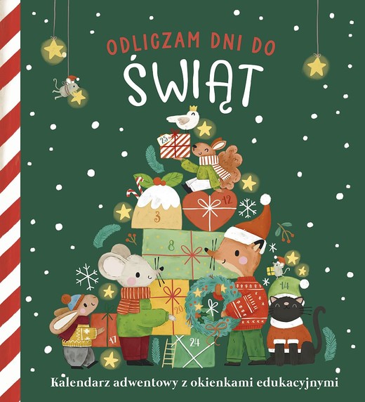 okładka Odliczam dni do świąt książka