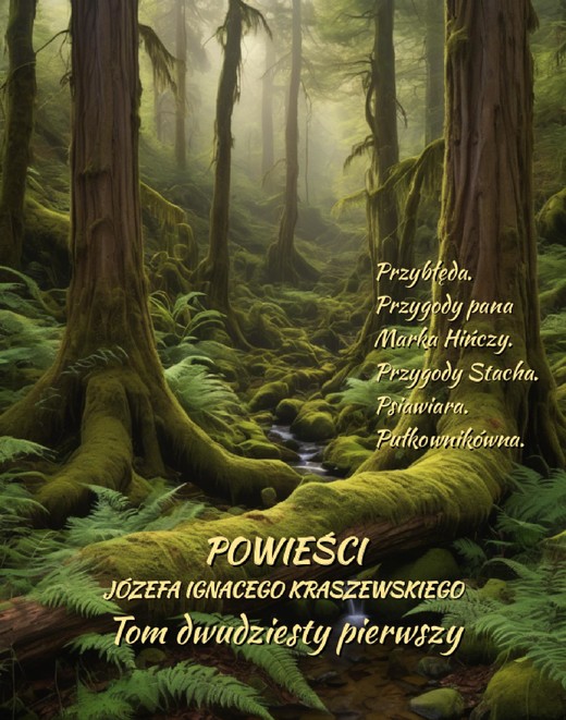 okładka Powieści Józefa Ignacego Kraszewskiego. Tom 21 ebook | epub, mobi | Józef Ignacy Kraszewski