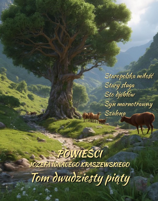 okładka Powieści Józefa Ignacego Kraszewskiego. Tom 25 ebook | epub, mobi | Józef Ignacy Kraszewski