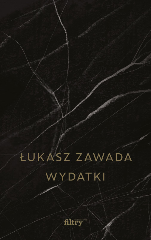 okładka Wydatki ebook | epub, mobi | Łukasz Zawada