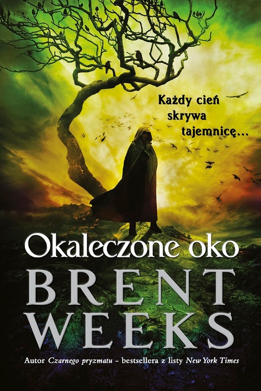 okładka Okaleczone oko ebook | epub, mobi | Brent Weeks