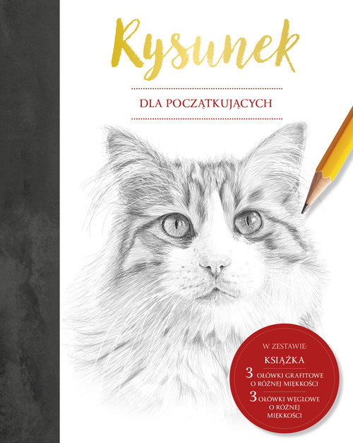 okładka Rysunek dla początkujących książka | Susie Hodge