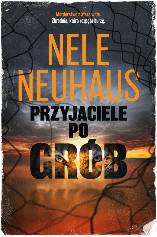 okładka Przyjaciele po grób ebook | epub, mobi | Nele Neuhaus
