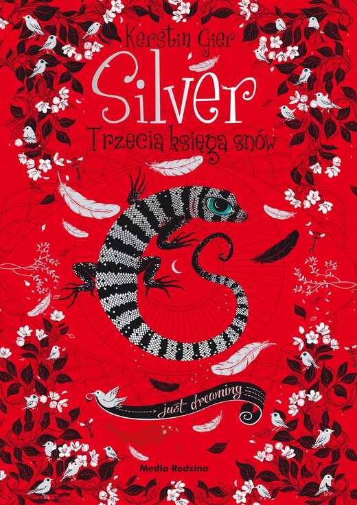 okładka Silver - trzecia księga snów ebook | epub, mobi | Kerstin Gier