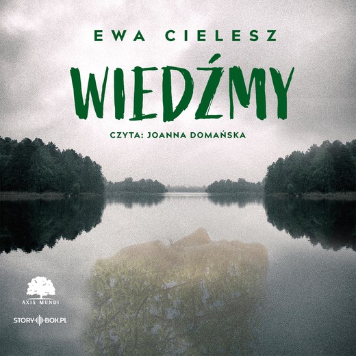 okładka Wiedźmy audiobook | MP3 | Ewa Cielesz