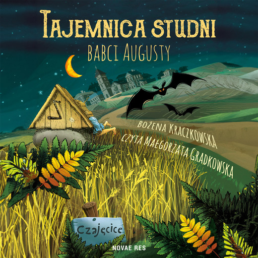 okładka Tajemnica studni babci Augusty audiobook | MP3 | Bożena Kraczkowska