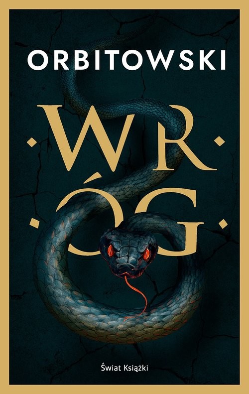 okładka Wróg książka