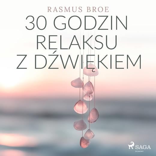 okładka 30 godzin relaksu z dźwiękiem audiobook | MP3 | Broe Rasmus
