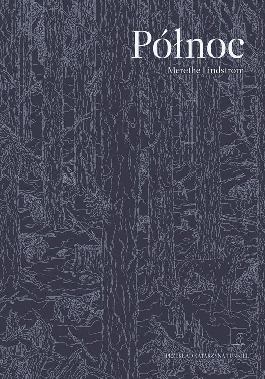 okładka Północ ebook | epub, mobi | Merethe Lindstrøm