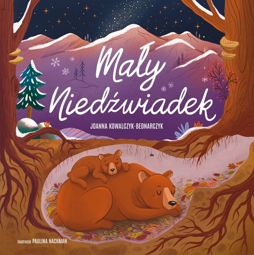 okładka Mały Niedźwiadek książka