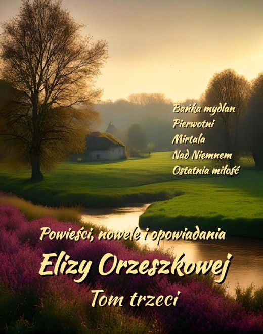 okładka Powieści, nowele i opowiadania Elizy Orzeszkowej. Tom III ebook | epub, mobi | Eliza Orzeszkowa
