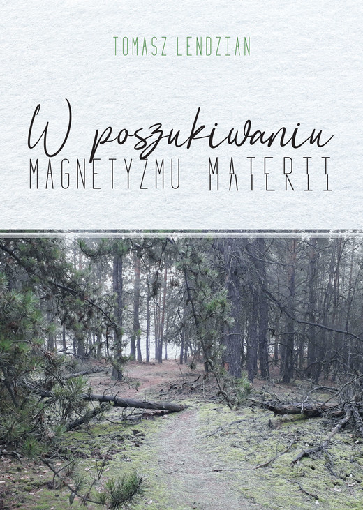 okładka W poszukiwaniu magnetyzmu materii ebook | epub, mobi | Tomasz Lendzian
