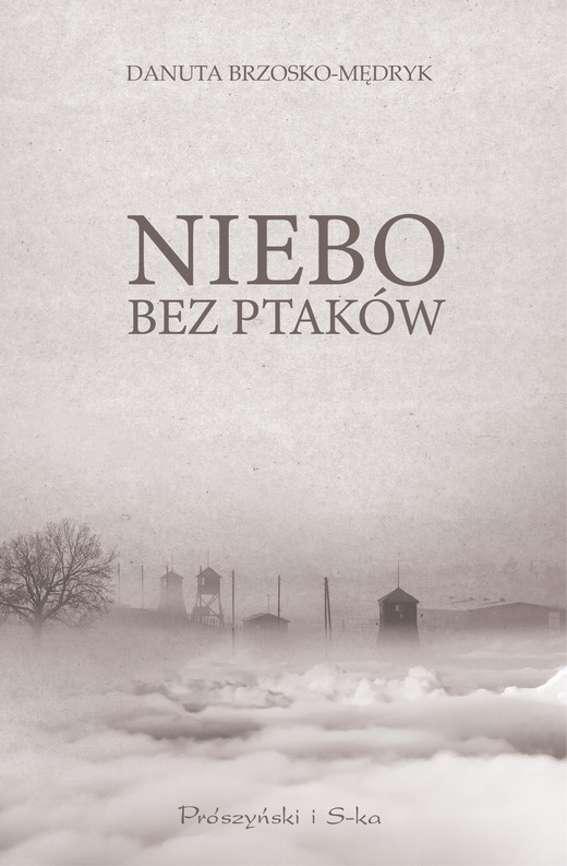 okładka Niebo bez ptaków ebook | epub, mobi | Danuta Brzosko-Mędryk