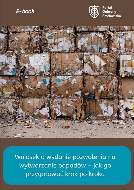 okładka Zbiorcze podsumowanie sprawozdawczości w BDO ebook | epub, mobi, pdf | Aleksandra Gembora