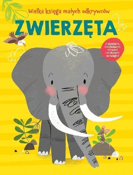 okładka Zwierzęta. Wielka księga małych odkrywców książka