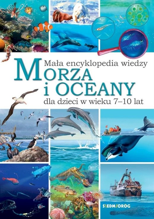 okładka Morza i oceany. Mała encyklopedia wiedzy książka