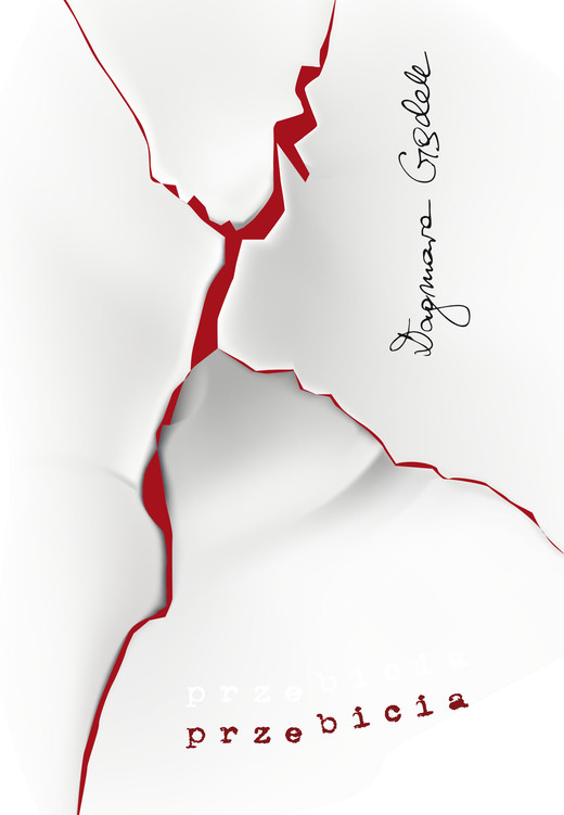 okładka Przebicia książka