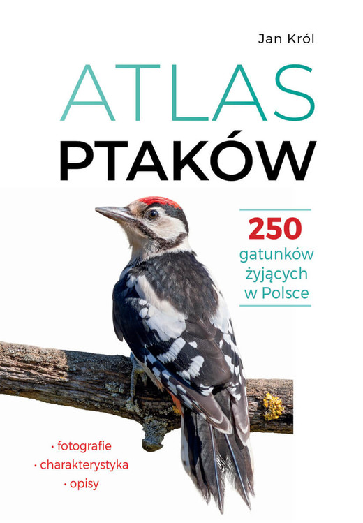 okładka Atlas ptaków. 250 gatunków żyjących w Polsce książka | Jan Król
