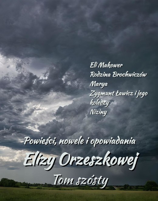 okładka Powieści, nowele i opowiadania Elizy Orzeszkowej. Tom VI ebook | epub, mobi | Eliza Orzeszkowa