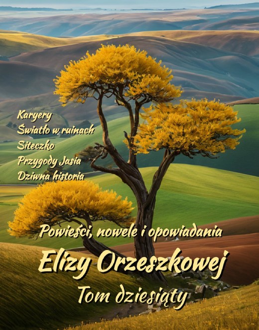 okładka Powieści, nowele i opowiadania Elizy Orzeszkowej. Tom X ebook | epub, mobi | Eliza Orzeszkowa