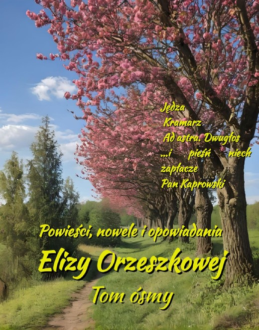 okładka Powieści, nowele i opowiadania Elizy Orzeszkowej. Tom VIII ebook | epub, mobi | Eliza Orzeszkowa