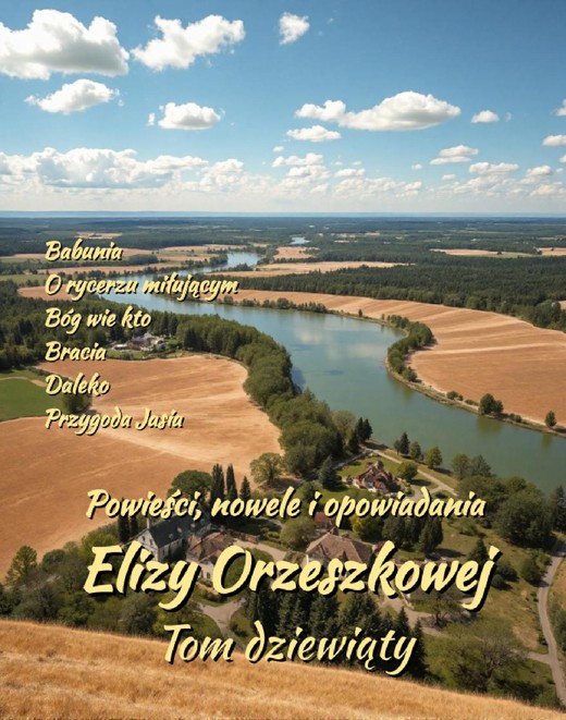 okładka Powieści, nowele i opowiadania Elizy Orzeszkowej. Tom IX ebook | epub, mobi | Eliza Orzeszkowa