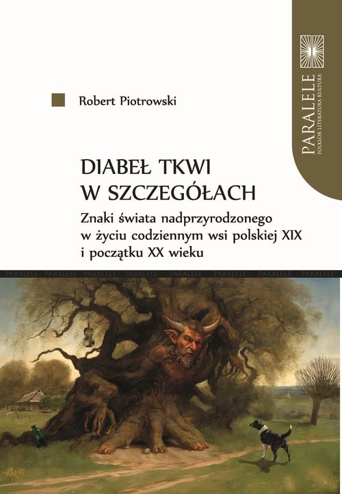okładka Diabeł tkwi w szczegółach Znaki świata nadprzyrodzonego w życiu codziennym wsi książka | Robert Piotrowski