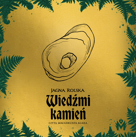 okładka Wiedźmi kamień audiobook | MP3 | Jagna Rolska