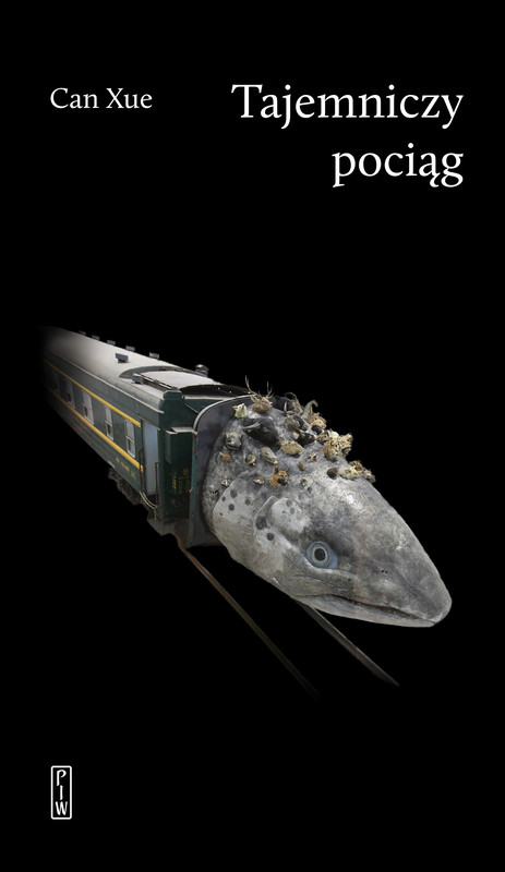 okładka Tajemniczy pociąg ebook | epub, mobi | Can Xue