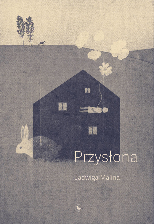 okładka Przysłona ebook | epub, mobi | Malina Jadwiga