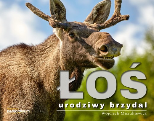 okładka Łoś urodziwy brzydal książka