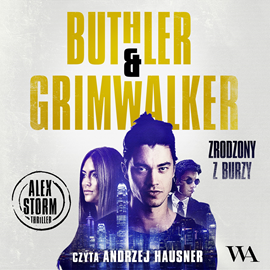 okładka Zrodzony z burzy audiobook | MP3 | Grimwalker Leffe