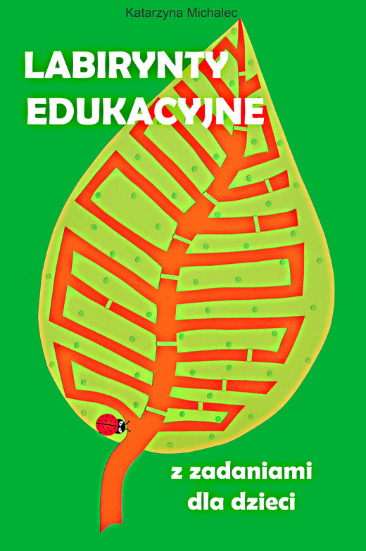 okładka Labirynty edukacyjne z zadaniami dla dzieci ebook | pdf | Katarzyna Michalec