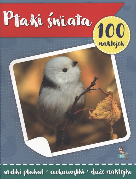 okładka Ptaki świata. 100 naklejek z plakatem książka